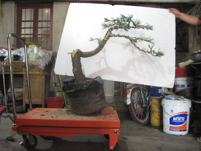 13-06-24���� 001.jpg