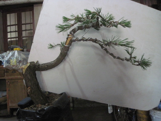 13-06-24���� 004.jpg