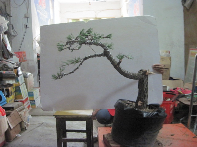 13-06-24���� 005.jpg