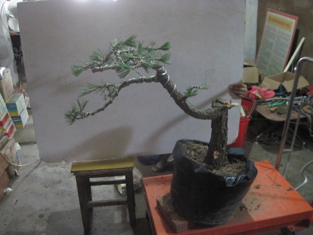 13-06-24���� 007.jpg