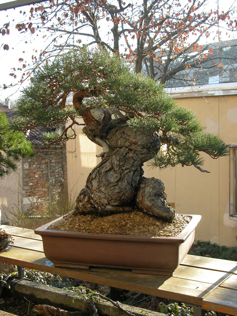 DSCN4787.jpg