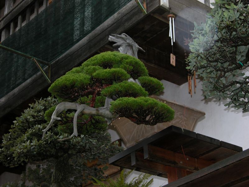 DSCN4949.jpg