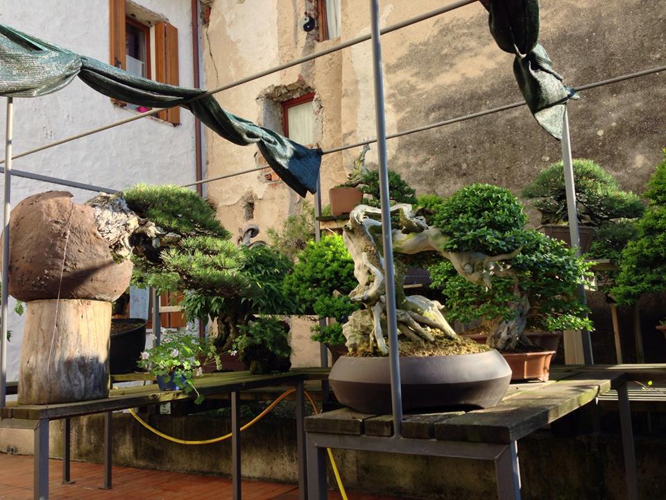Spring2013_4.jpg