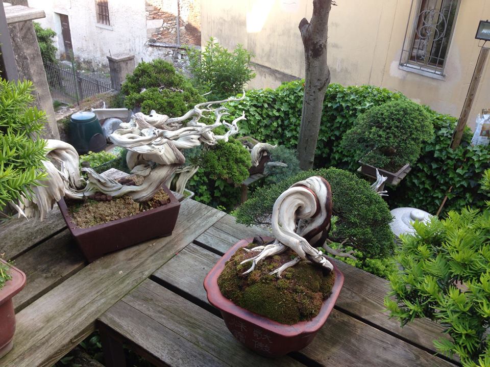 Spring2013_6.jpg