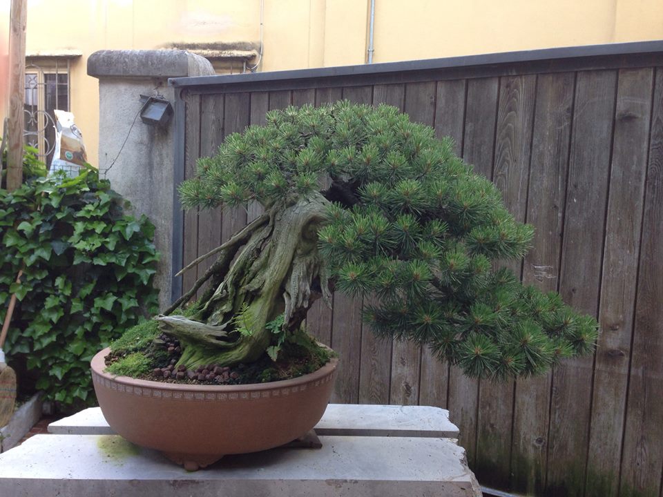 Spring2013_7.jpg