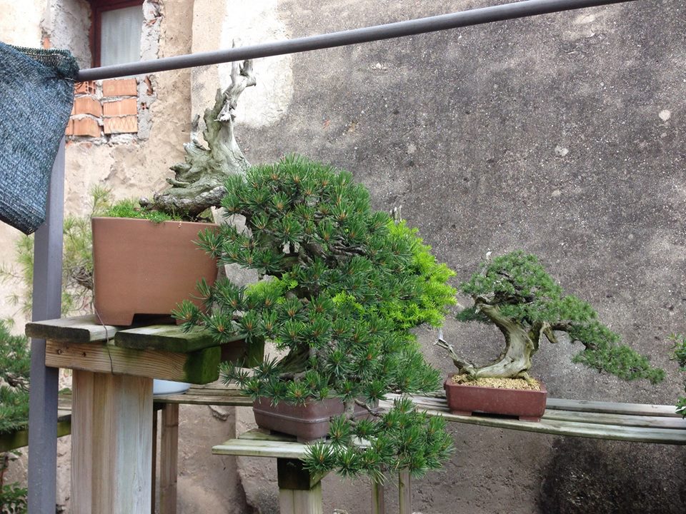 Spring2013_8.jpg
