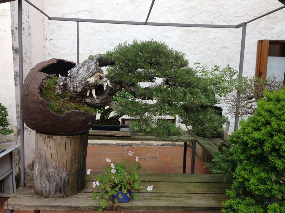 Spring2013_12.jpg