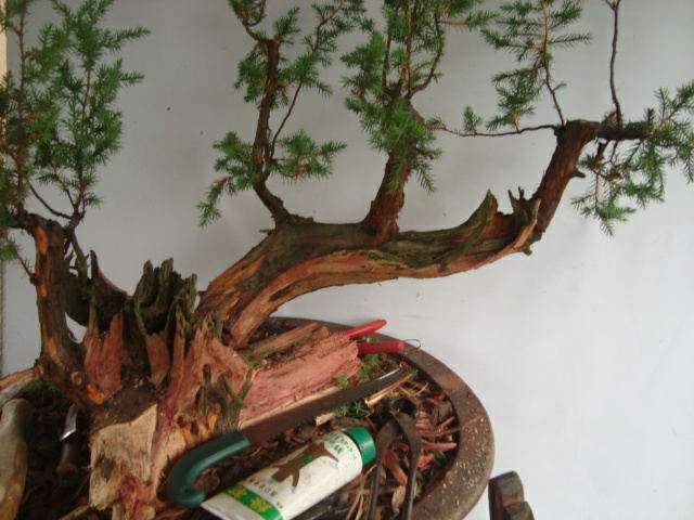 DSC07446_ͼ.jpg