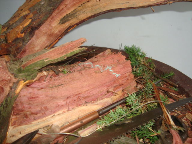 DSC07448_ͼ.jpg