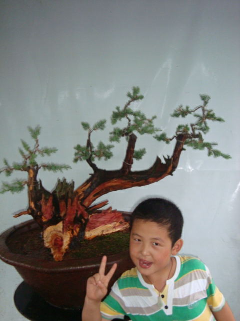 DSC07453_ͼ.jpg