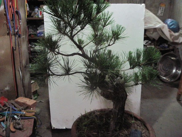 13-06-25���� 001.jpg