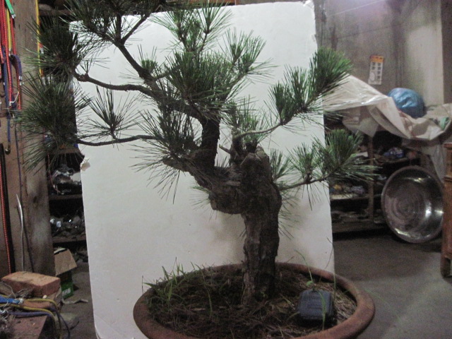 13-06-25���� 002.jpg