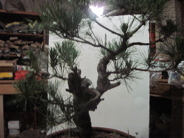 13-06-25���� 003.jpg