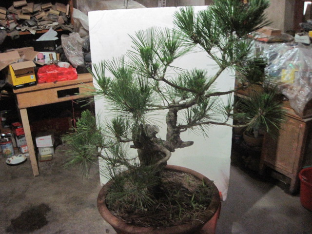 13-06-25���� 004.jpg