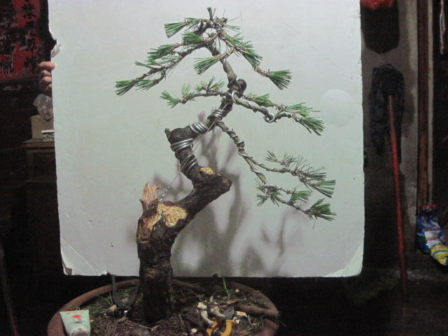 13-06-25���� 005.jpg