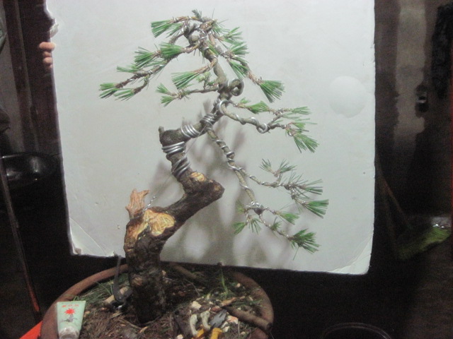 13-06-25���� 006.jpg