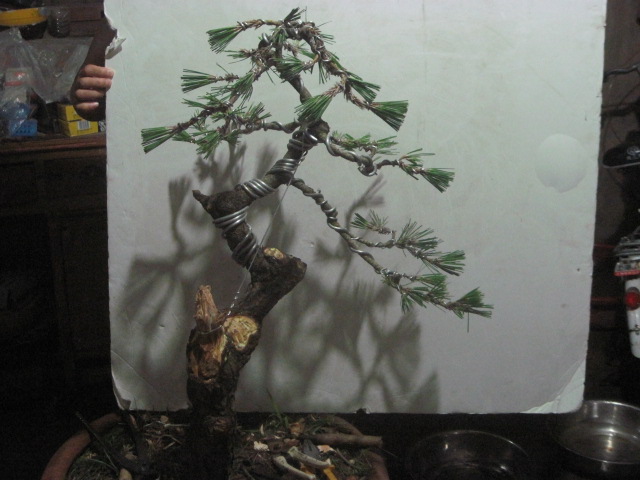 13-06-25���� 007.jpg