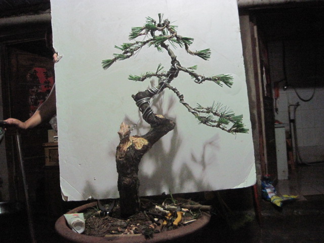 13-06-25���� 008.jpg