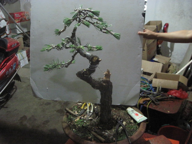 13-06-25���� 010.jpg