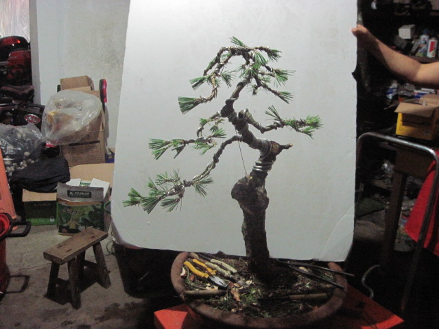 13-06-25���� 011.jpg