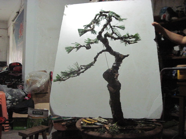 13-06-25���� 012.jpg