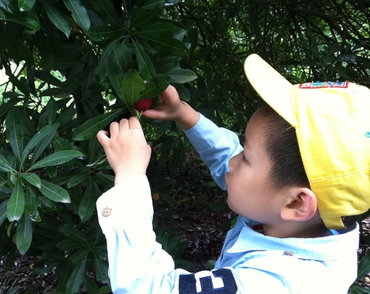 QQͼƬ20130625103925.jpg