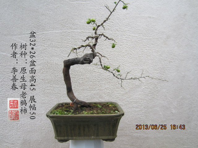 IMG_1787_.jpg