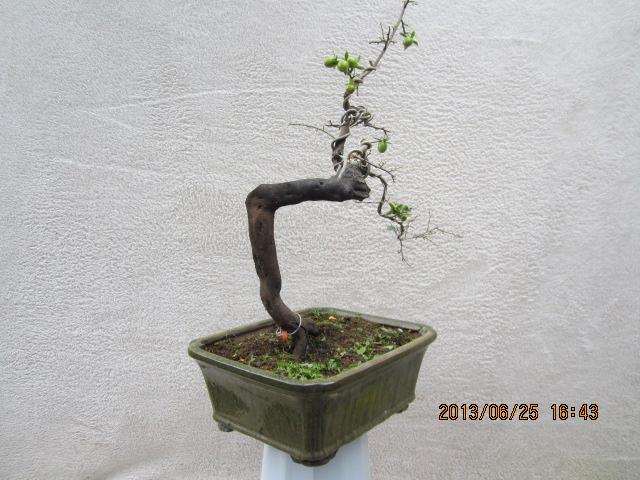IMG_1789.JPG