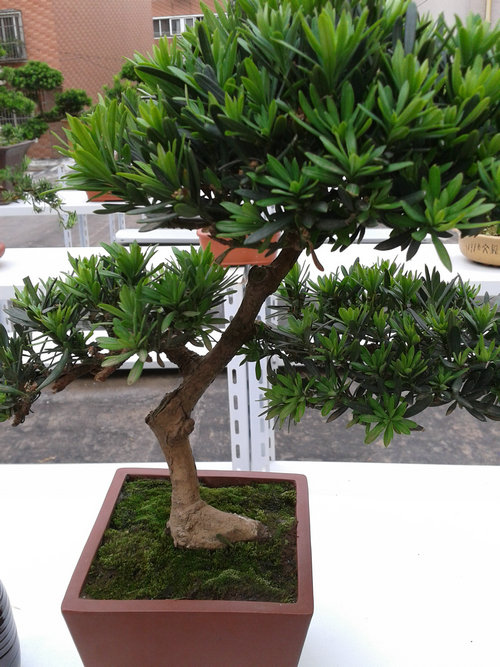 2013-06-15 15.25.08.jpg