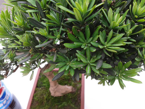 2013-06-15 15.25.23.jpg