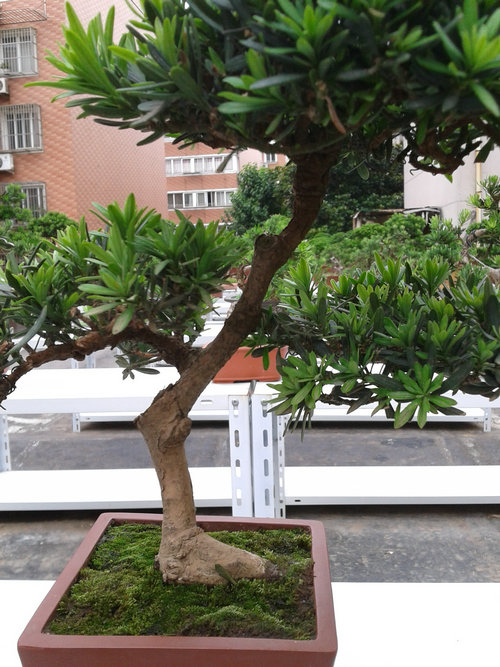 2013-06-15 15.25.39.jpg