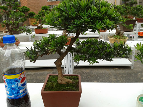 2013-06-15 15.25.54.jpg