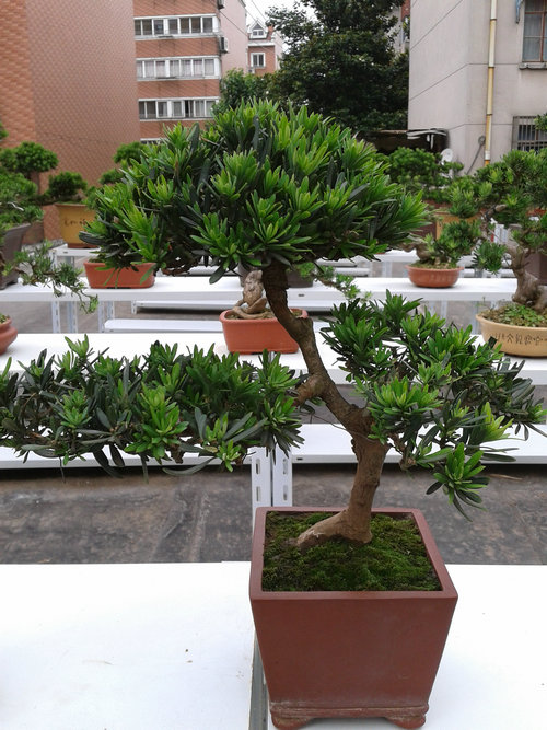 2013-06-15 15.26.31.jpg