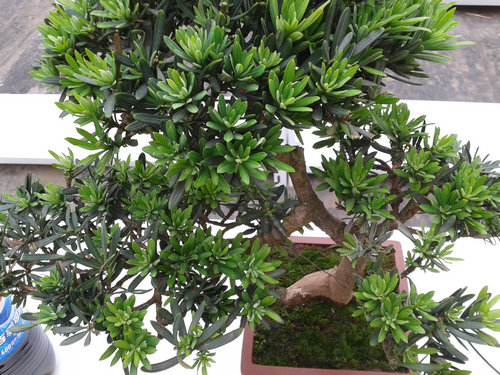 2013-06-15 15.26.46.jpg