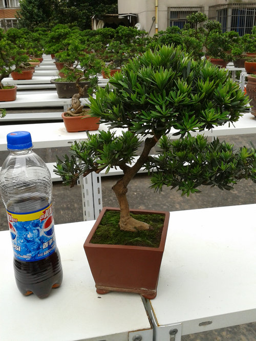 2013-06-15 15.27.53.jpg