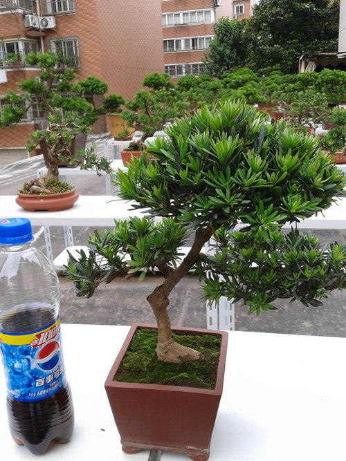 2013-06-15 15.29.52.jpg