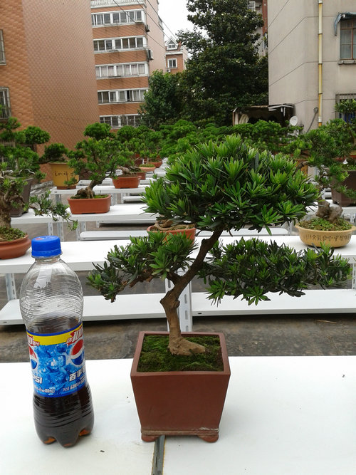 2013-06-15 15.24.40.jpg