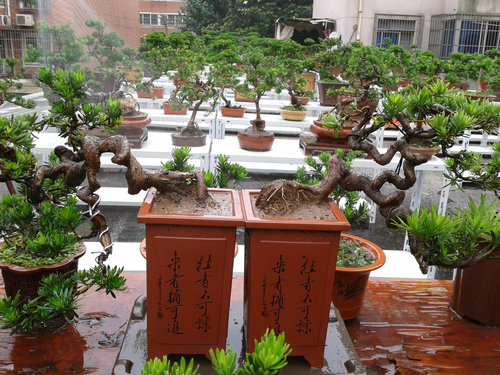 2013-06-19 12.57.39.jpg