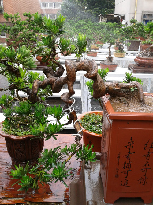 2013-06-19 12.57.03.jpg