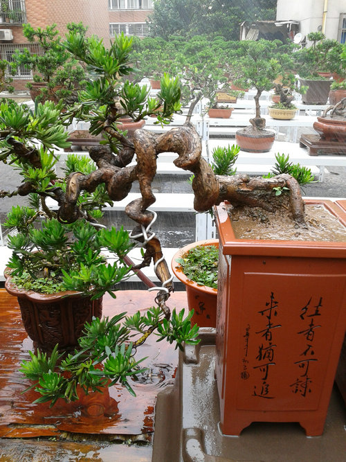 2013-06-19 12.57.13.jpg