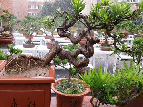 2013-06-19 12.57.23.jpg