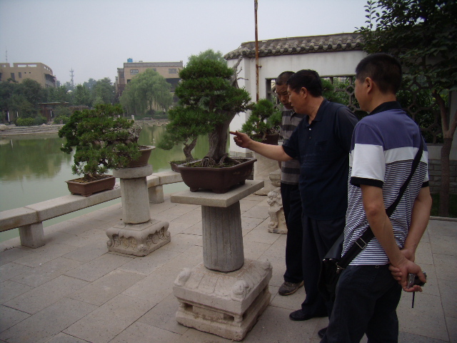 P6190042.JPG