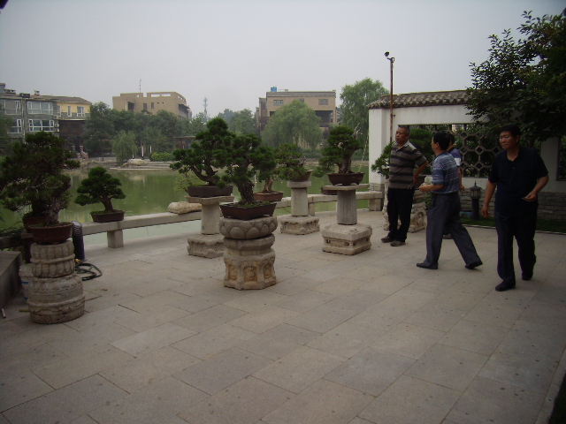 P6190056.JPG