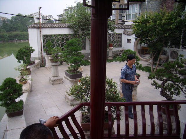 P6190127.JPG