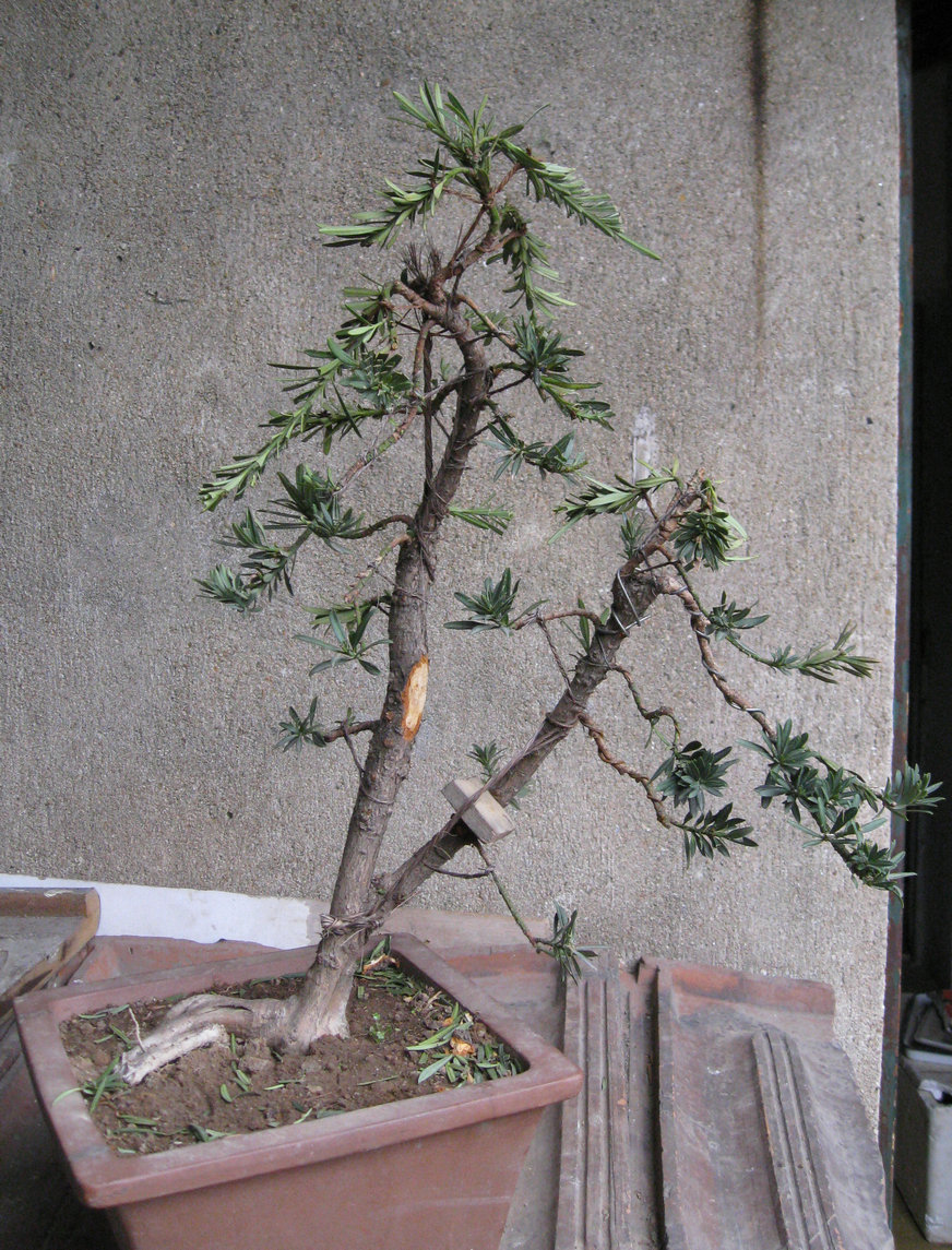 Ƭ 14206.jpg