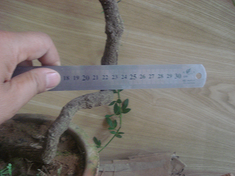DSC05668_.jpg