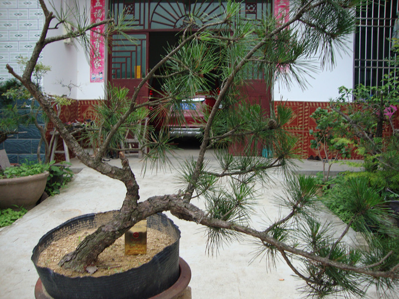 DSC01200_.jpg