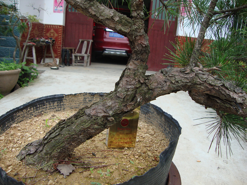 DSC01201_.jpg