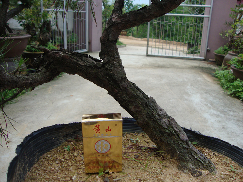 DSC01202_.jpg