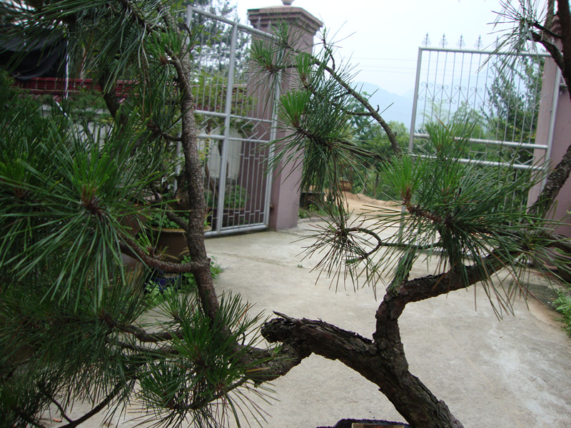 DSC01203_.jpg